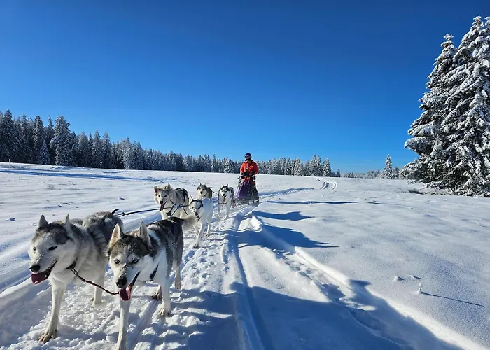 Vent_du_nord * Tramelan